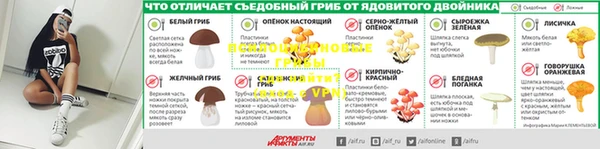 трава Протвино