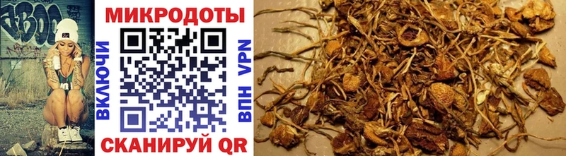 blacksprut вход  Малоярославец  Галлюциногенные грибы Psilocybe  сколько стоит 